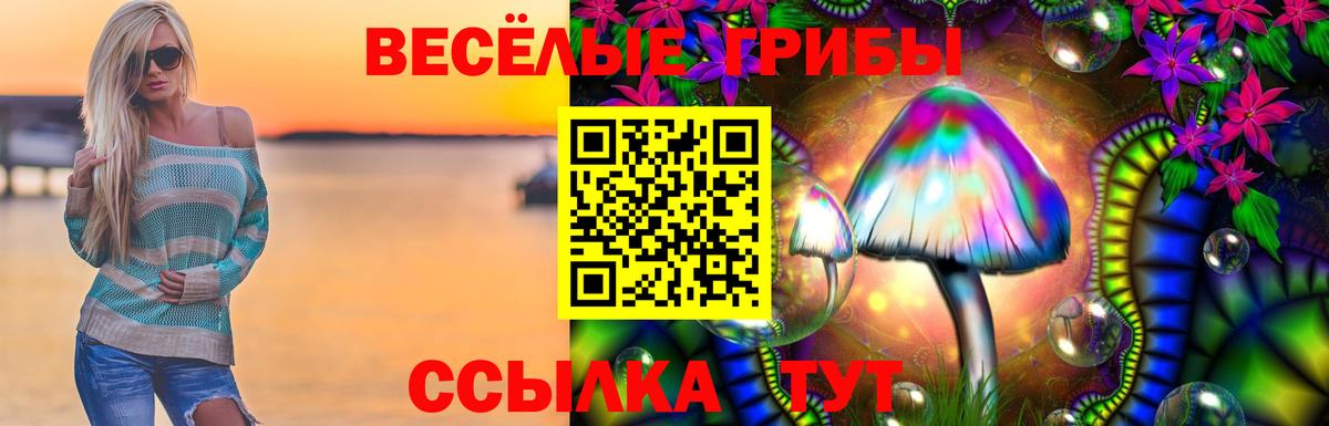 Псилоцибиновые грибы Psilocybe  даркнет сайт  Балахна  Вход с VPN 